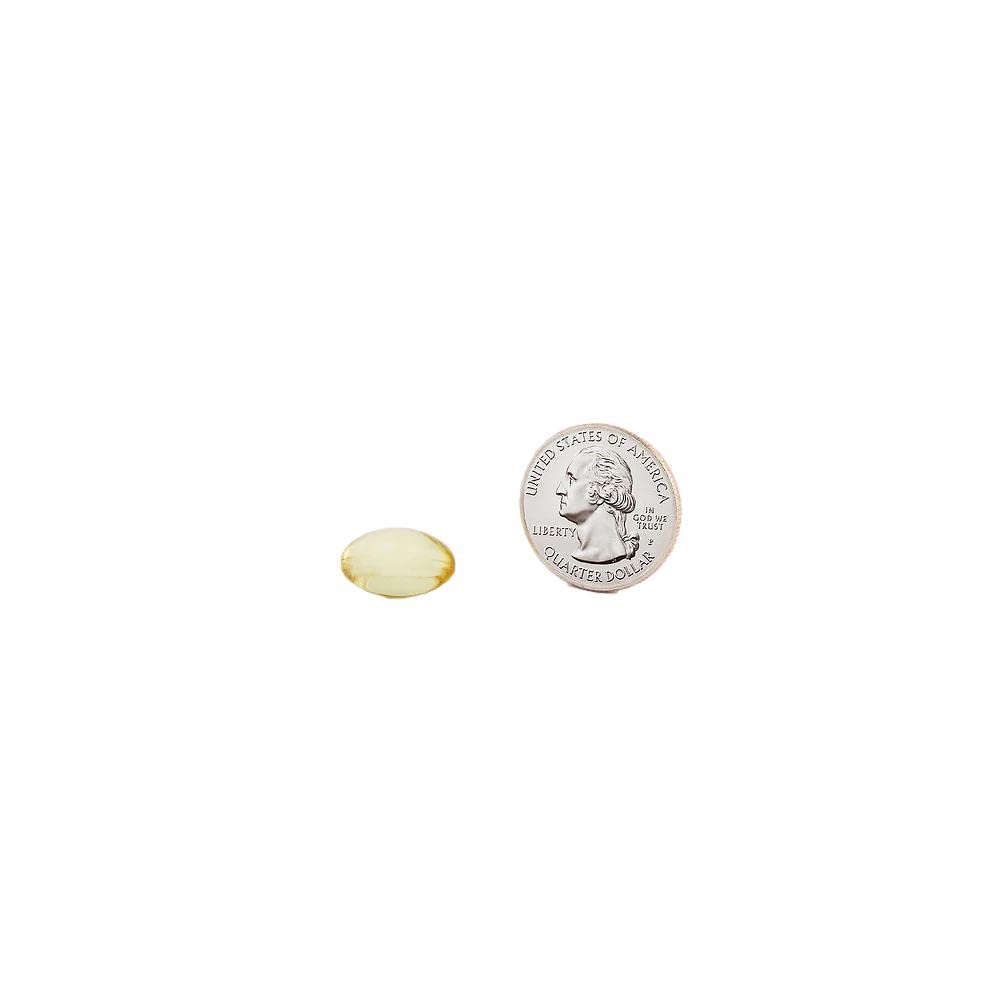 Fish Oil 1200 mg Softgels C997