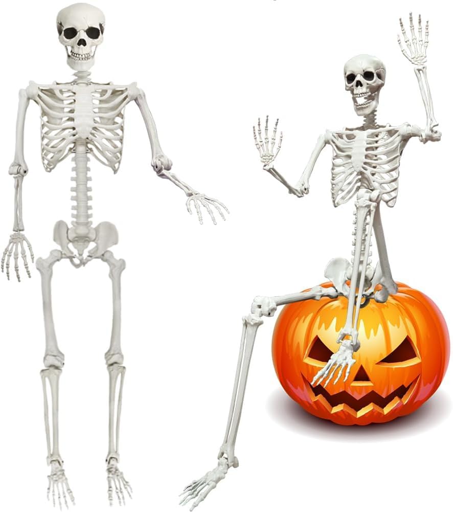 2-Pack 67" Posable Skeletons with Movable Joints Z694