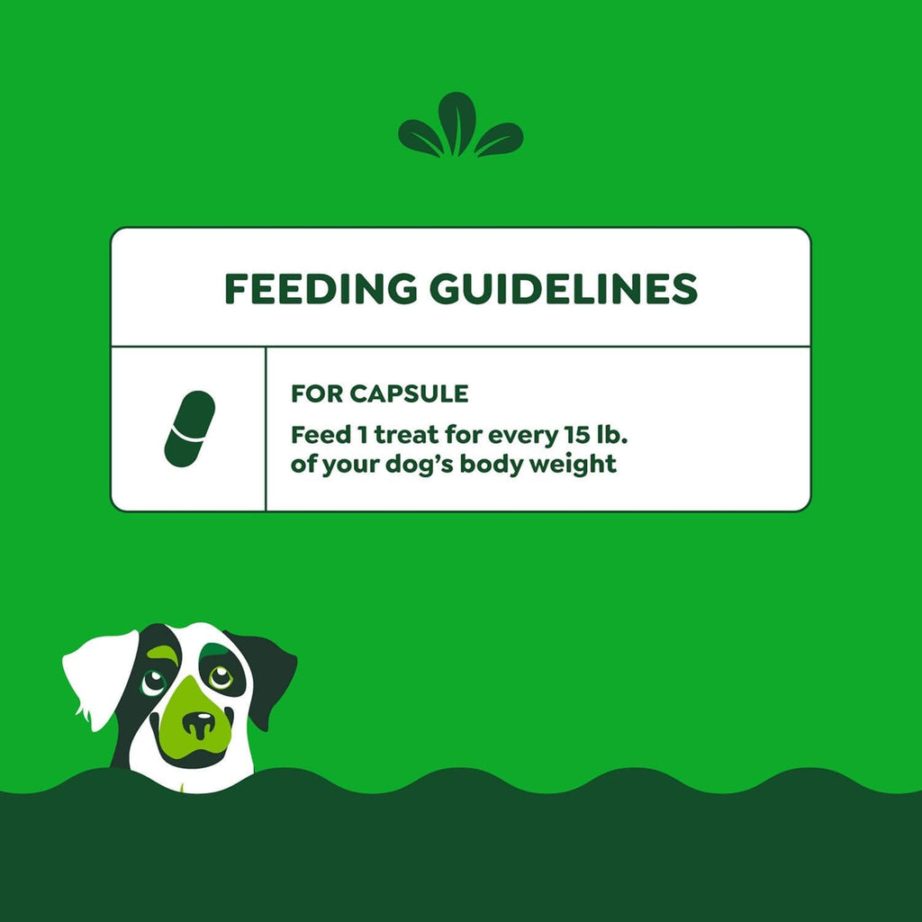 Chicken Flavor Capsule Treats for Dogs 15.8-Ounce 3 Pack M113