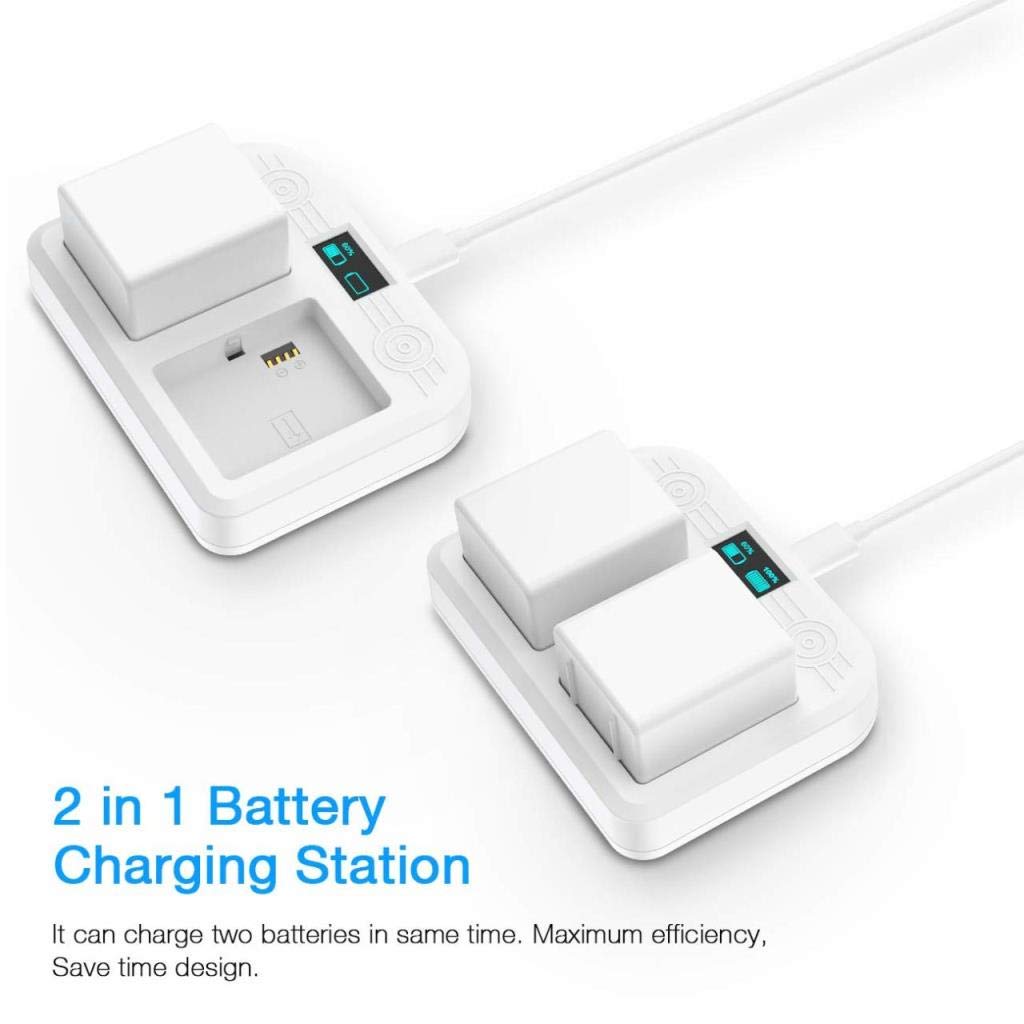 Battery Charger Station F8254