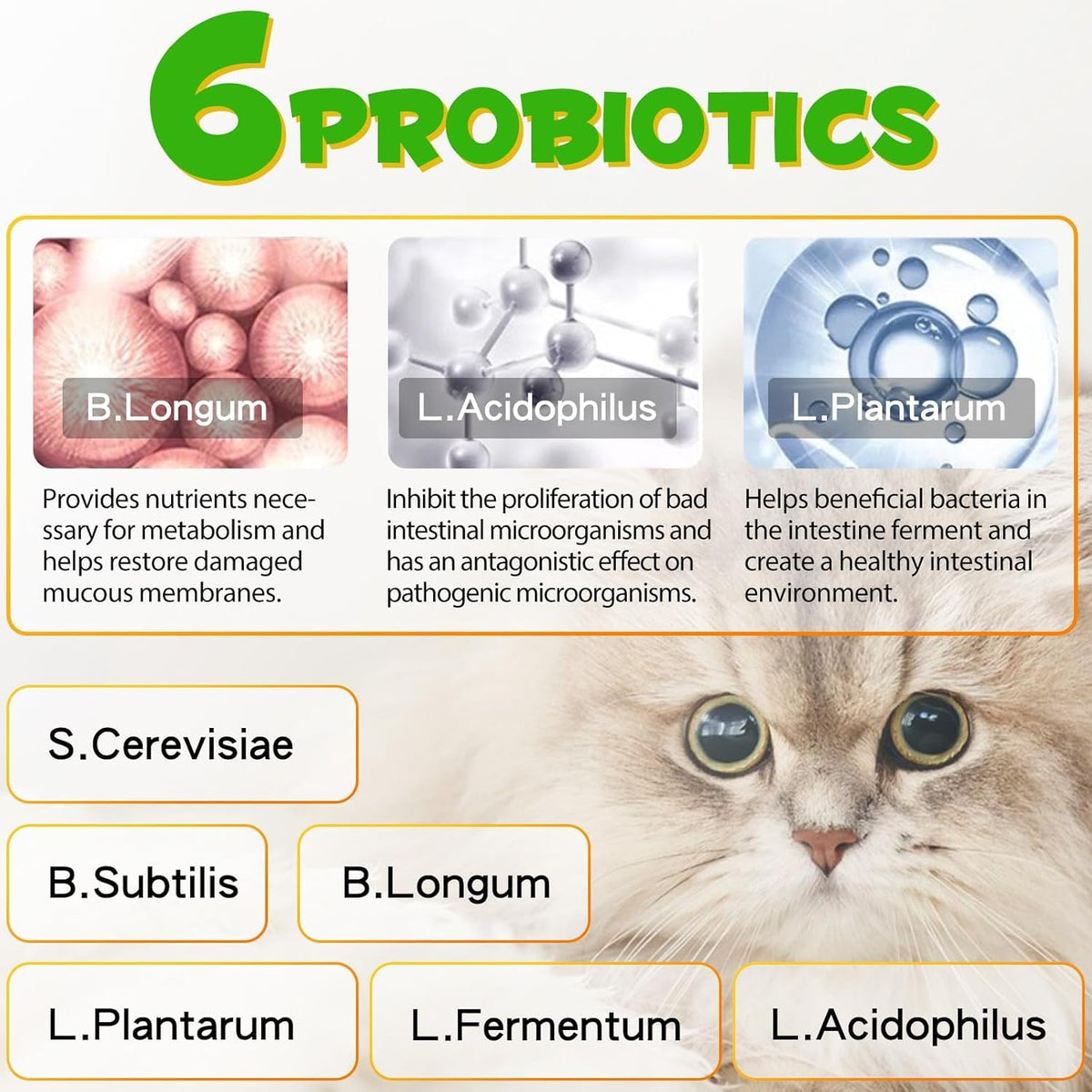2 oz Probiotic Cat Laxative Stool Softener Y995