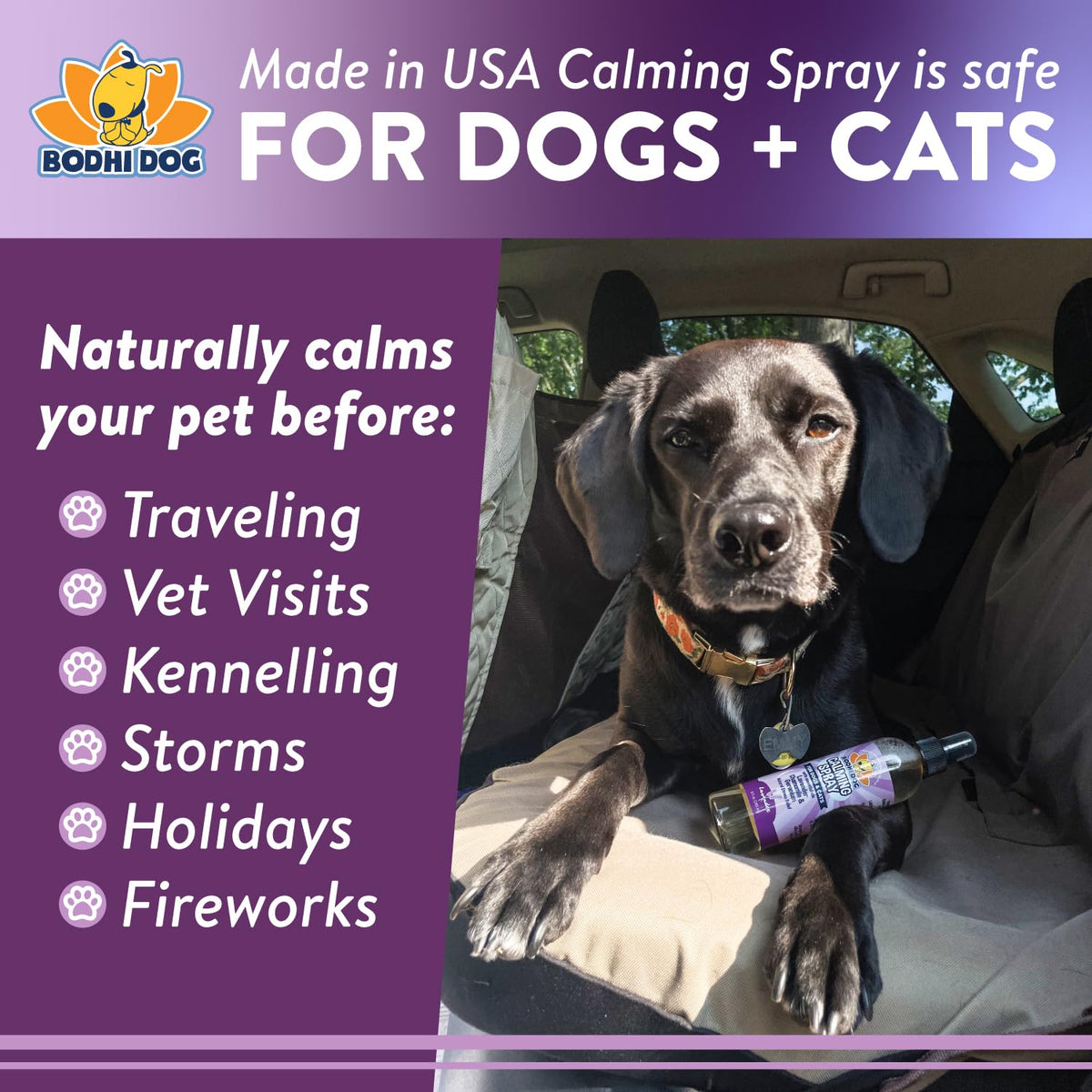 Lavender Calming Spray for Dogs & Cats 8 oz J188889