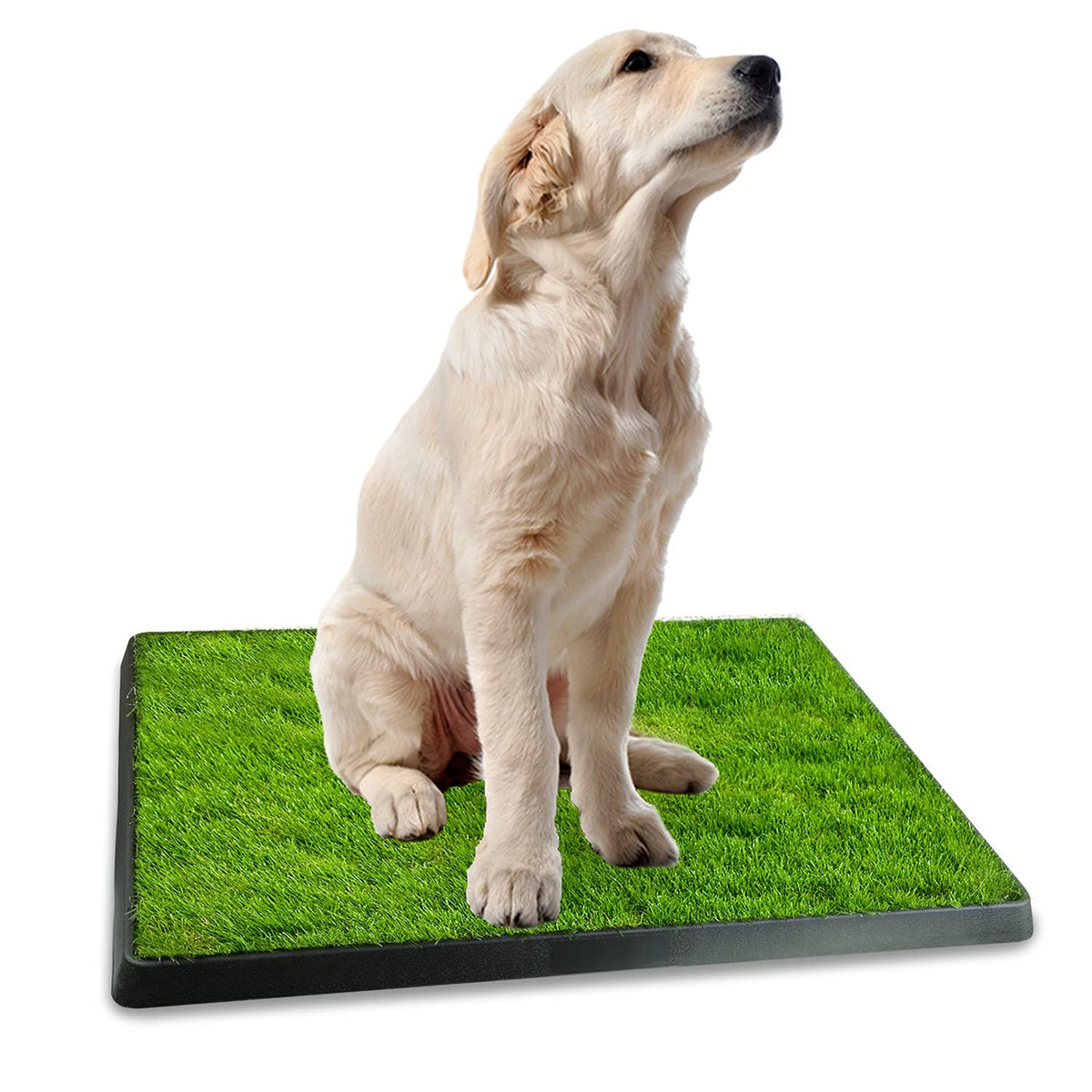 Artificial Grass Dog Potty Mat with Removable Waste Tray M176292