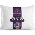 King Size Down Alternative Pillows Set of 2 X32565