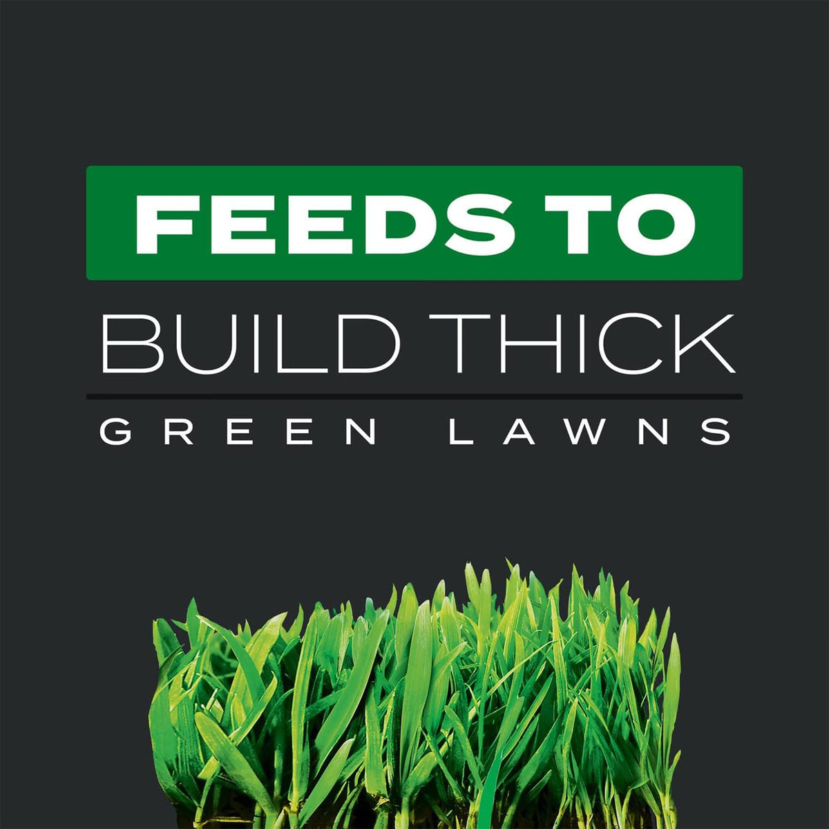 11.31 lb. Turf Builder B51094