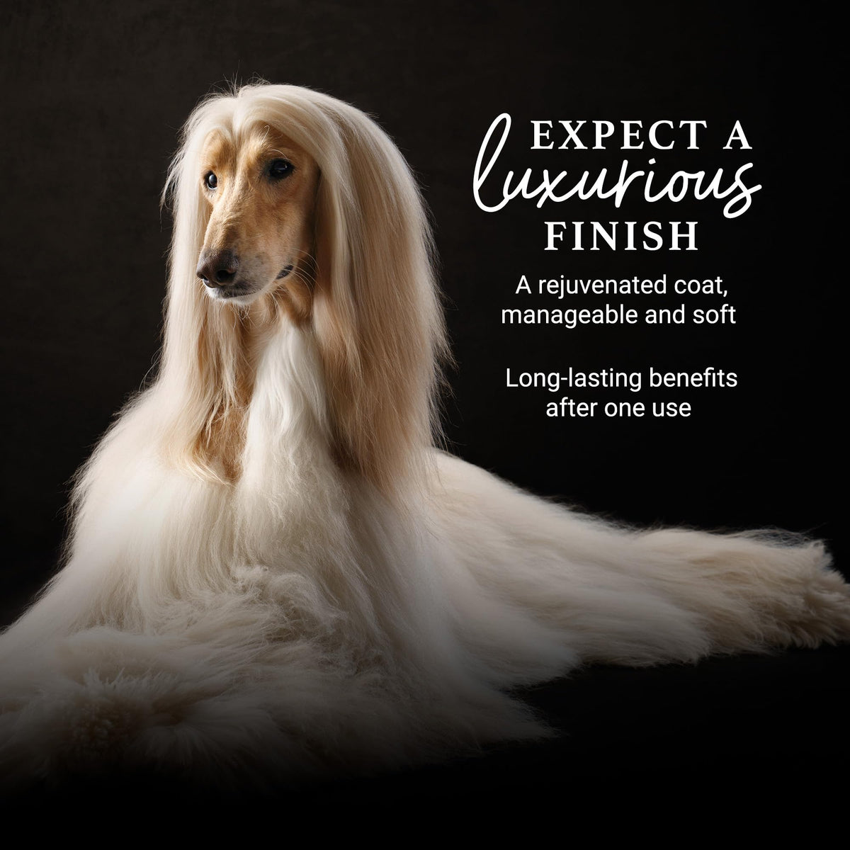 16 oz Dog Detangling Conditioner J6279