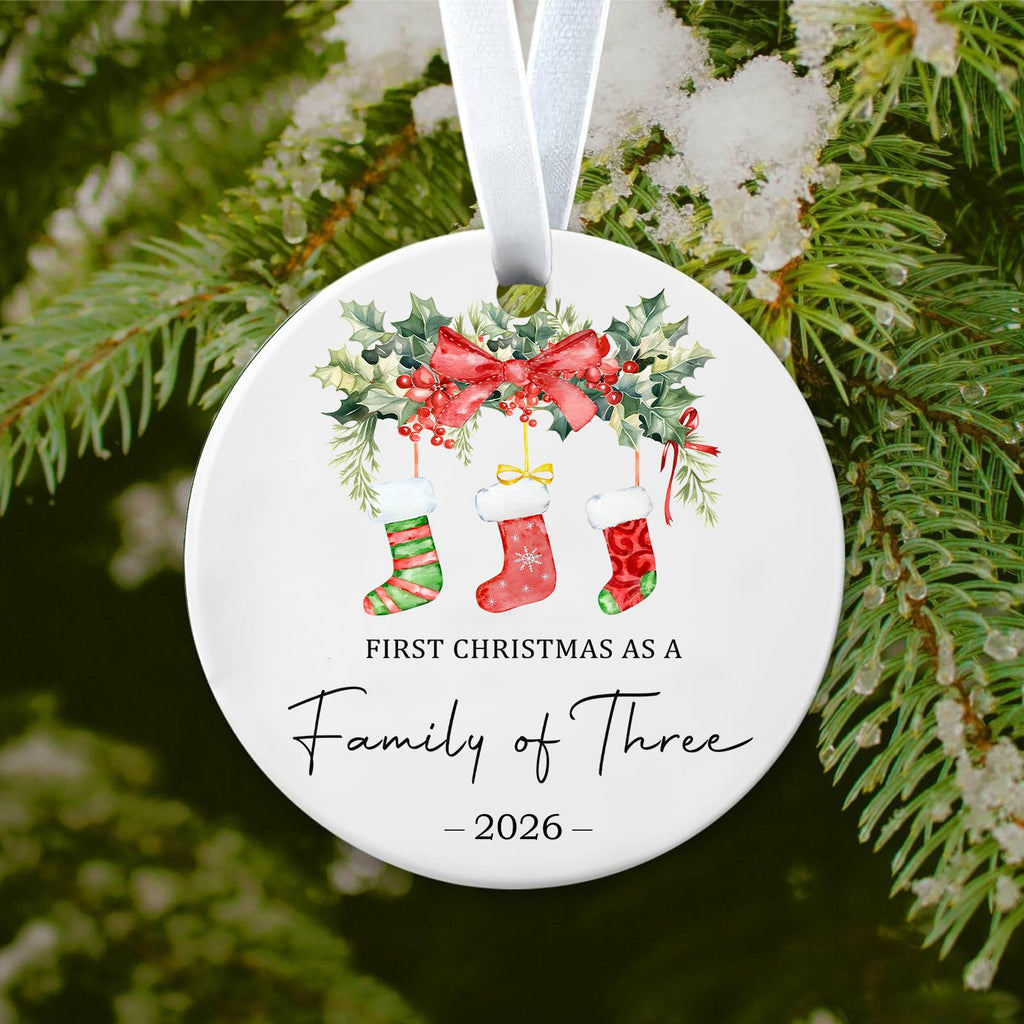 Baby First Christmas Ornaments 2026 R6259