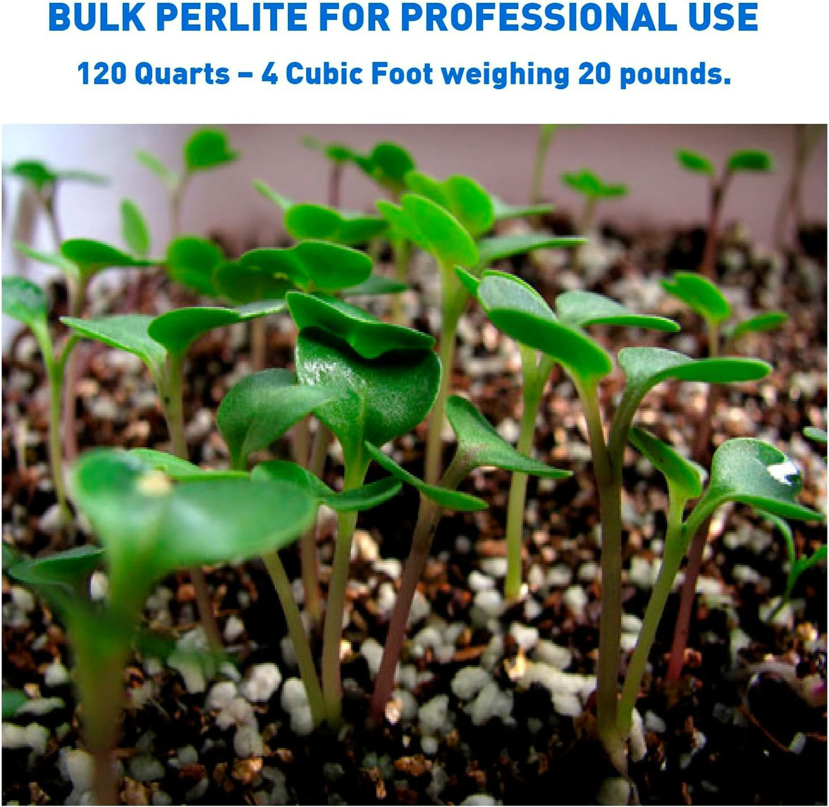 Perlite 4 Cubic Feet 1 Bag O623315