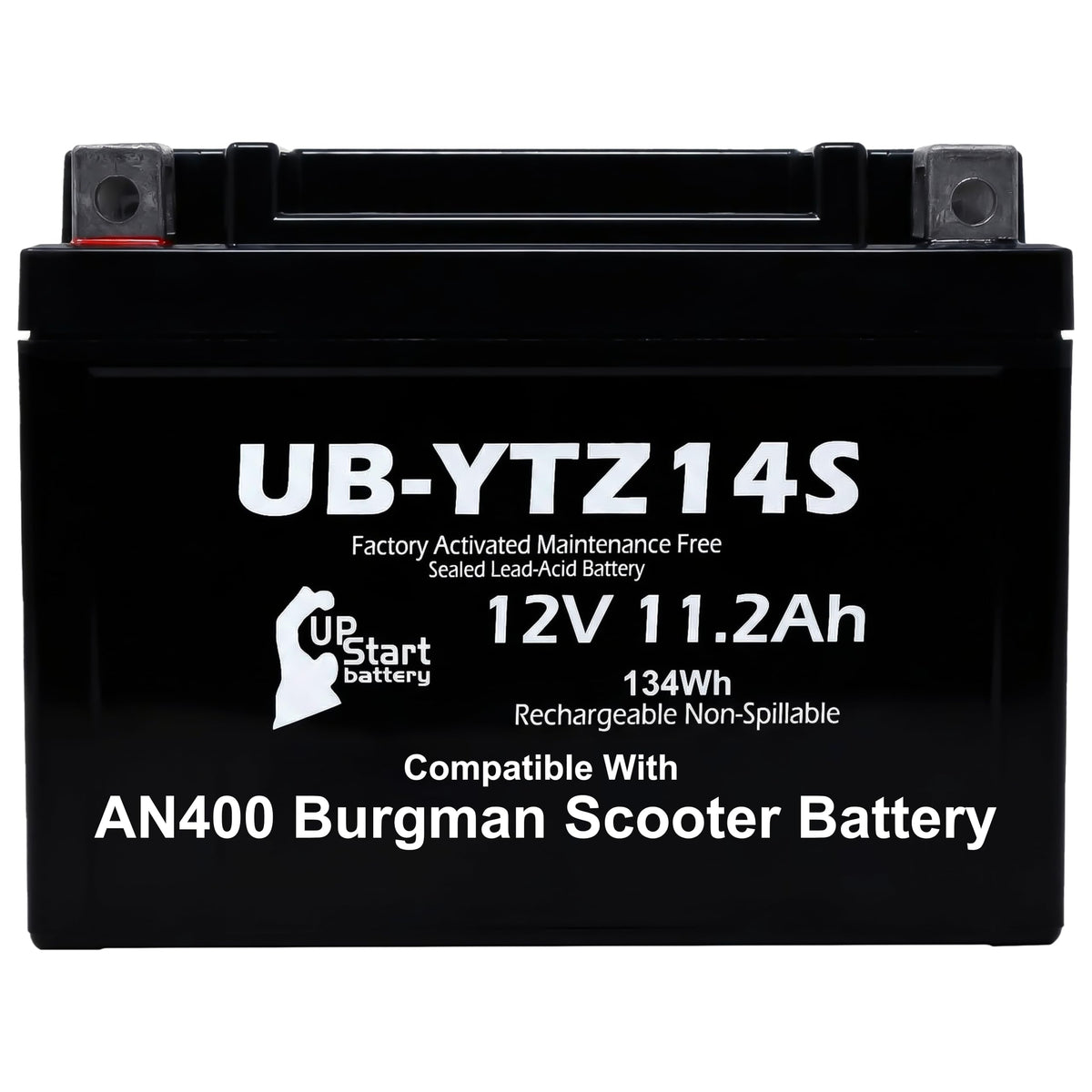 12V 11.2Ah Battery F31618