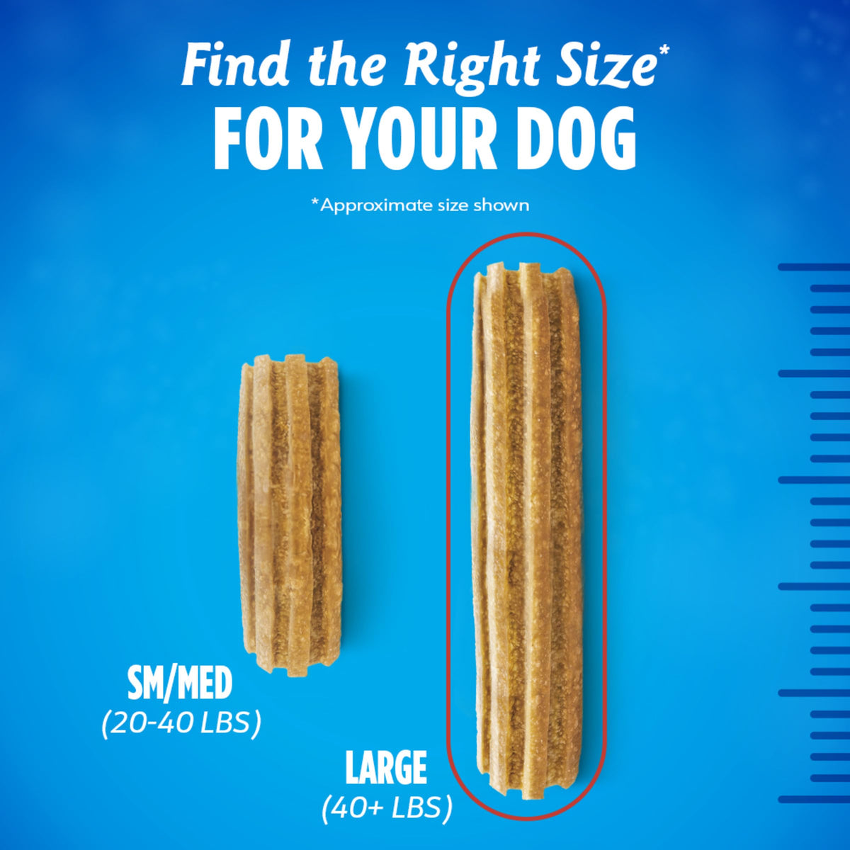 Large Dog Treats U71995