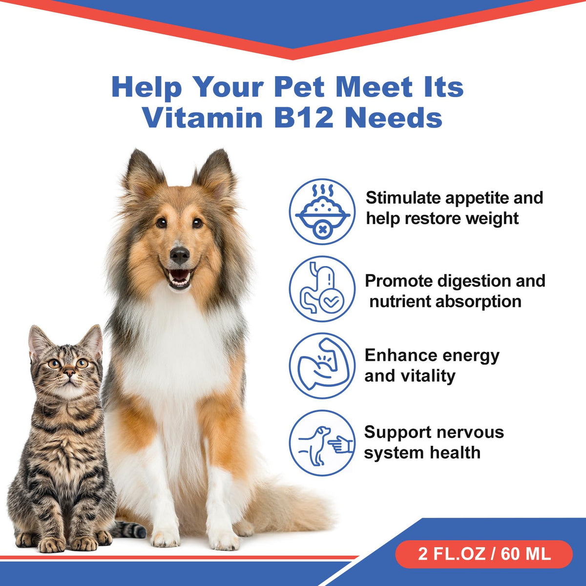 Vitamin B12 Liquid Supplement 60 ml F4982