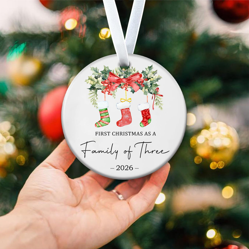 Baby First Christmas Ornaments 2026 R6259
