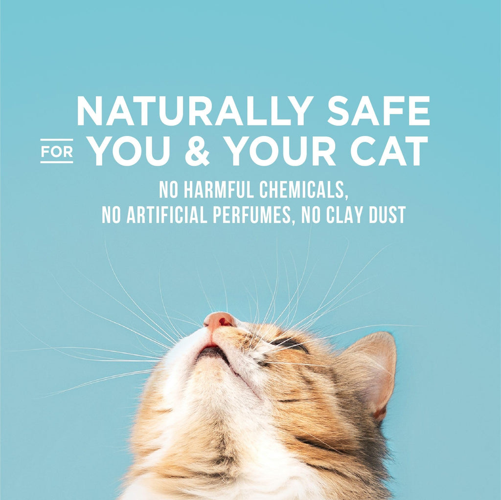 Cat Litter 15 lb Bag A95909