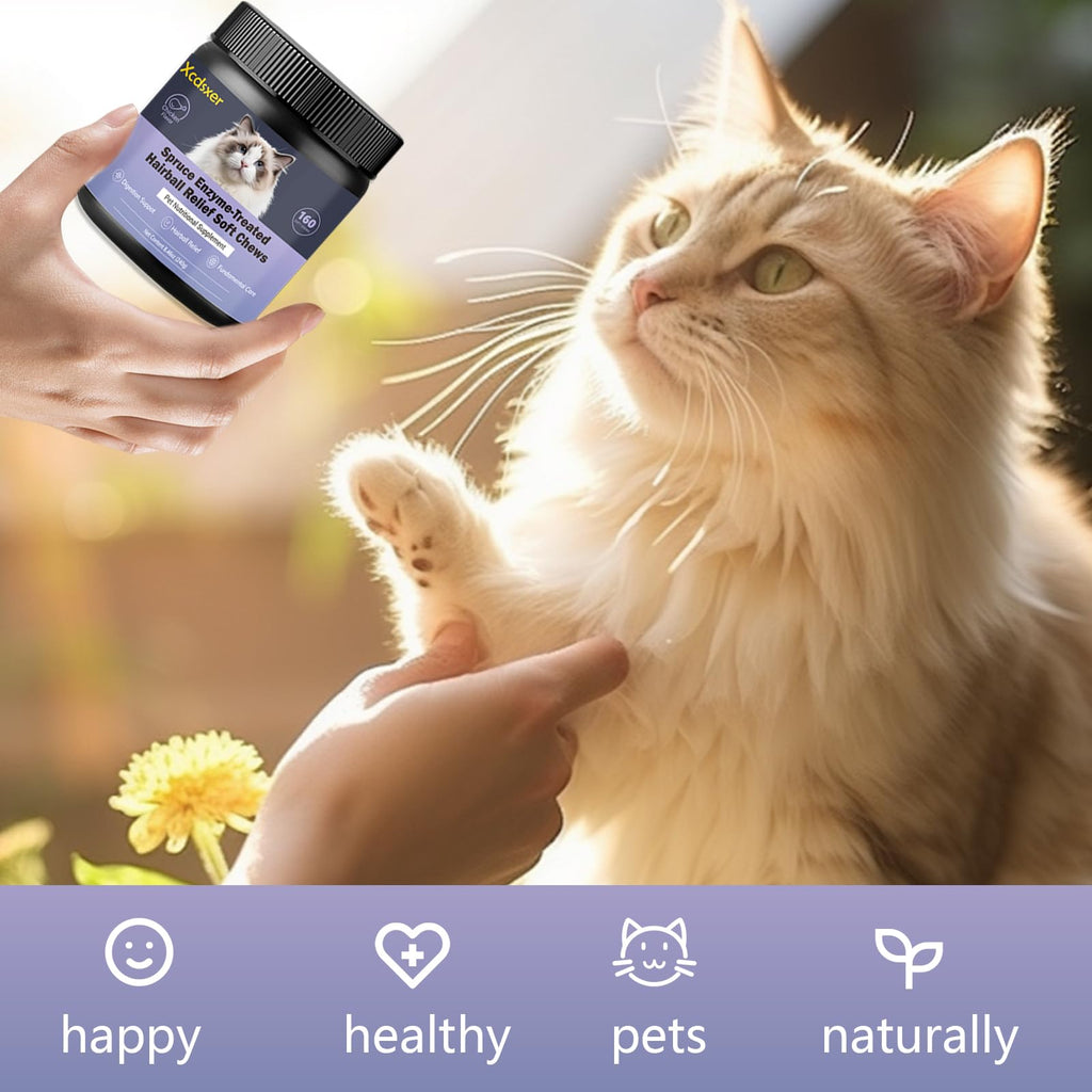 Chicken Flavor Soft Chews Hairball Aid Supplement for Cats C9023