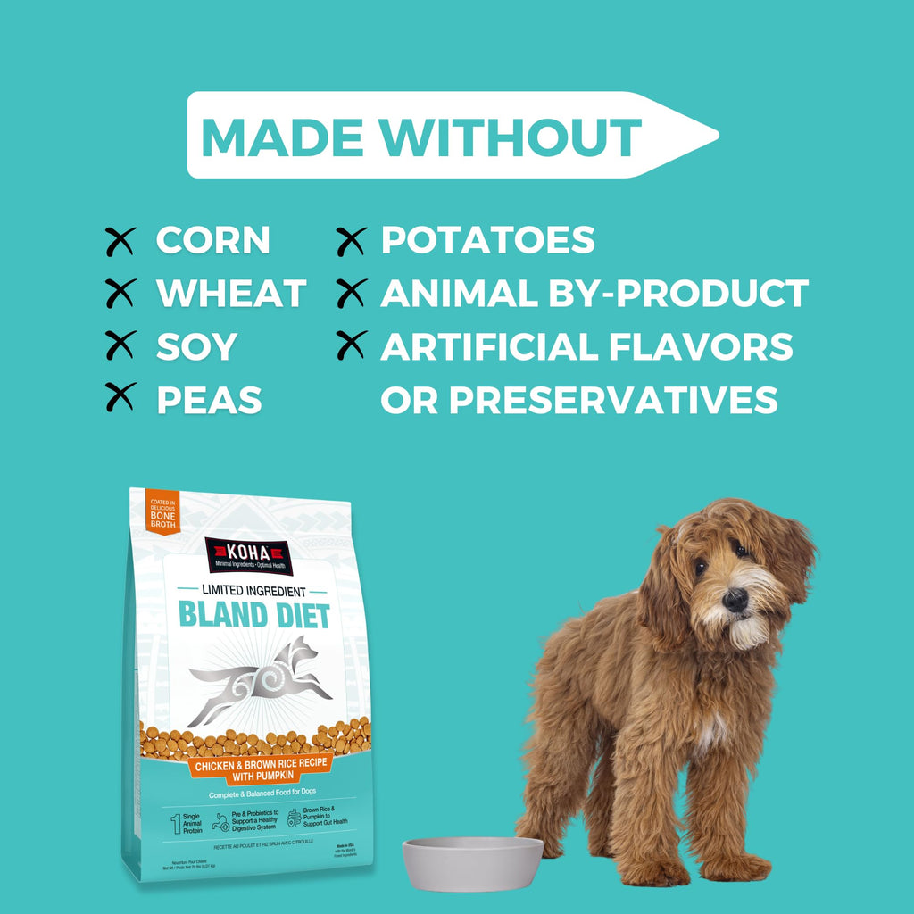 Limited Ingredient Chicken & Brown Rice Dog Food R69975