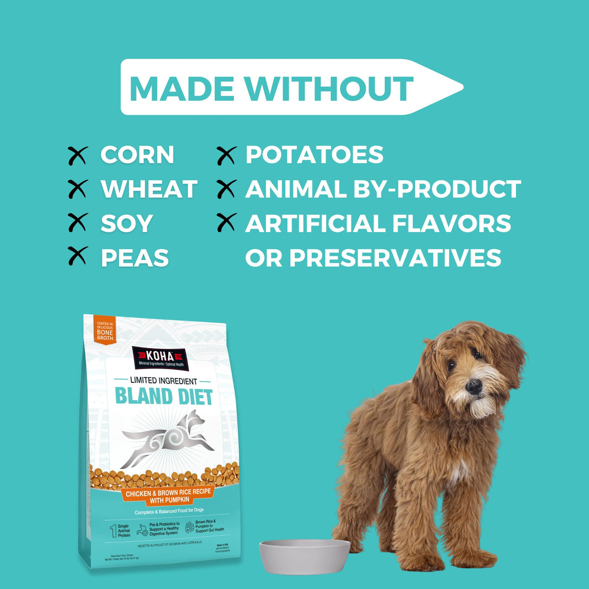 Limited Ingredient Chicken & Brown Rice Dog Food R69975