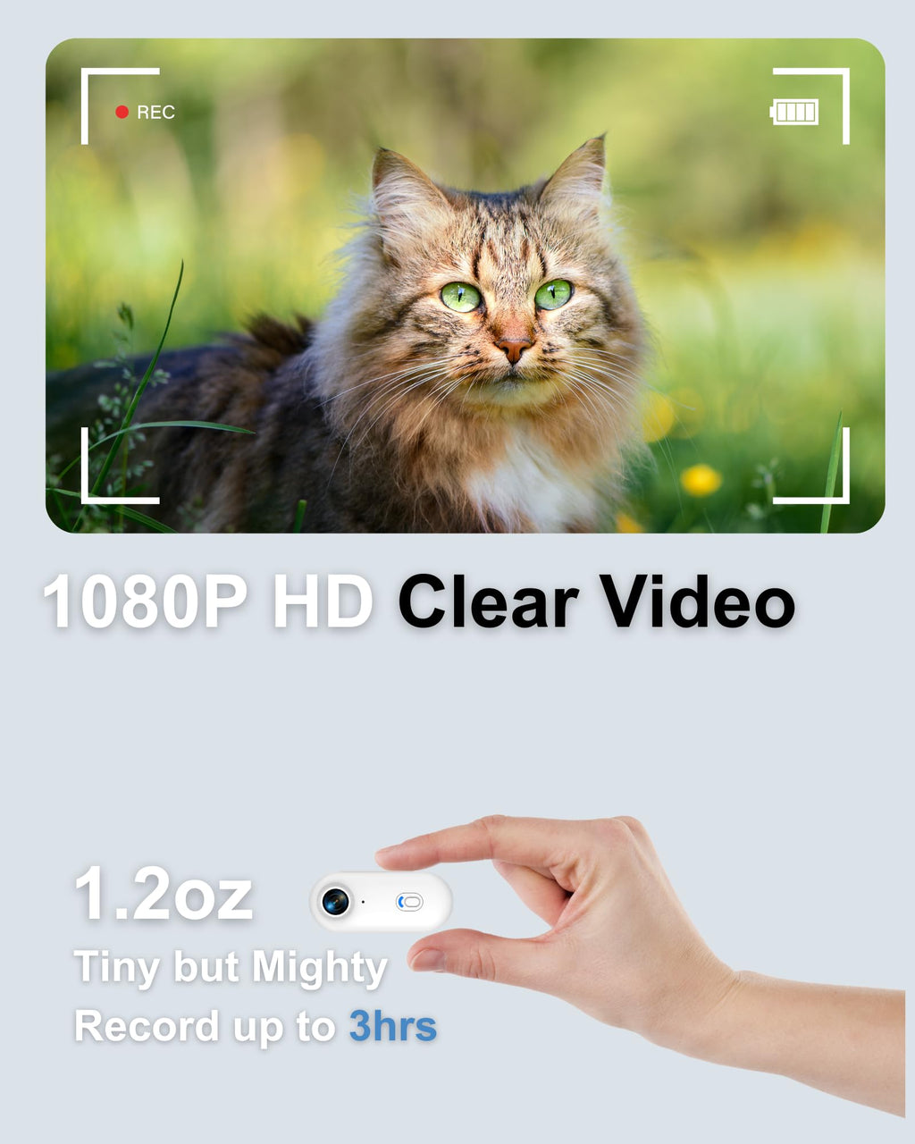 Camera Collar with Phone App & Tracker Tag I54404