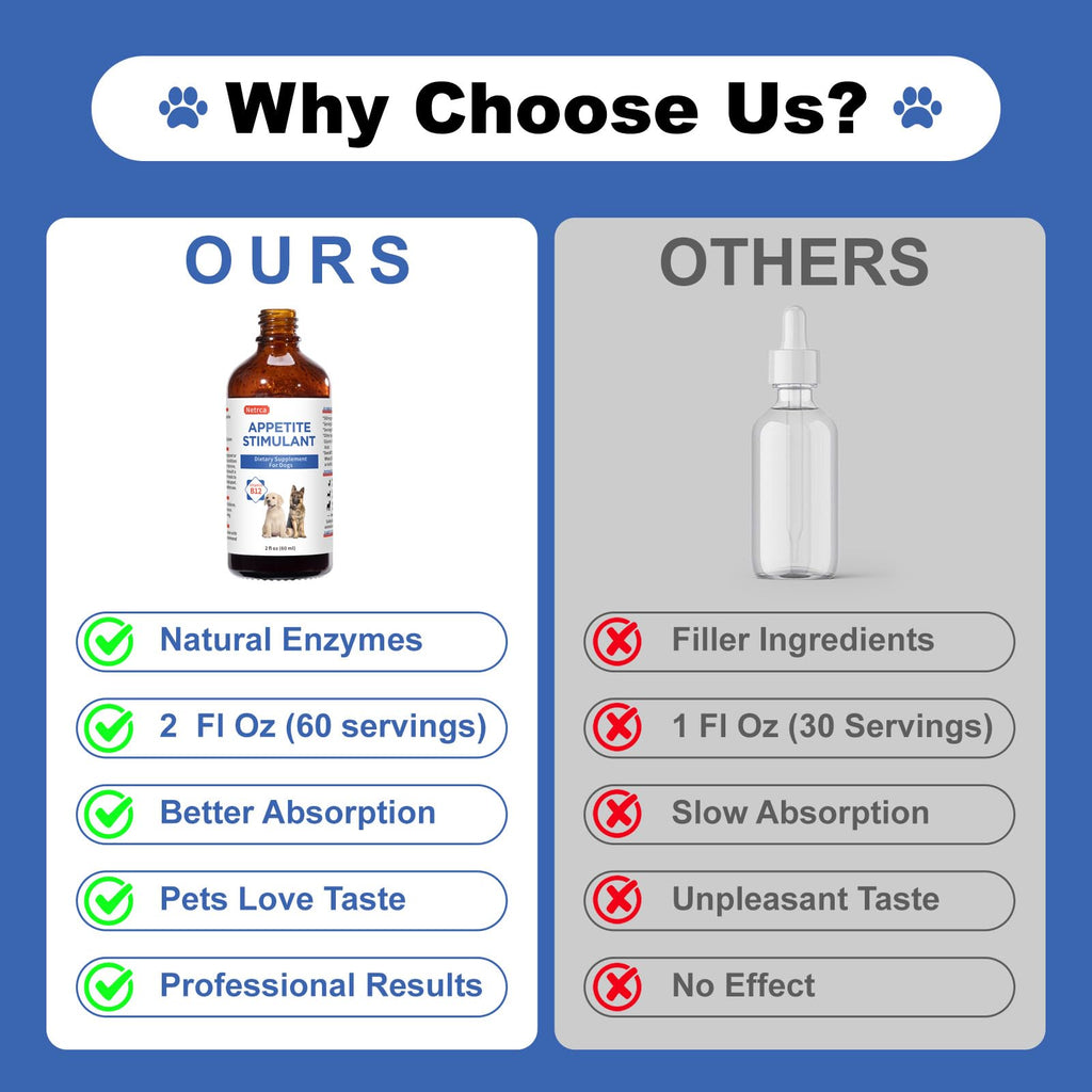 Vitamin B12 Liquid Supplement 60 ml F4982