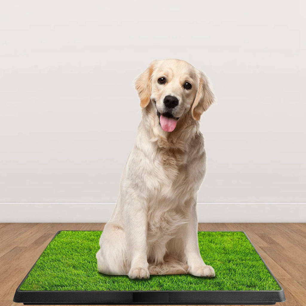 Artificial Grass Dog Potty Mat with Removable Waste Tray M176292