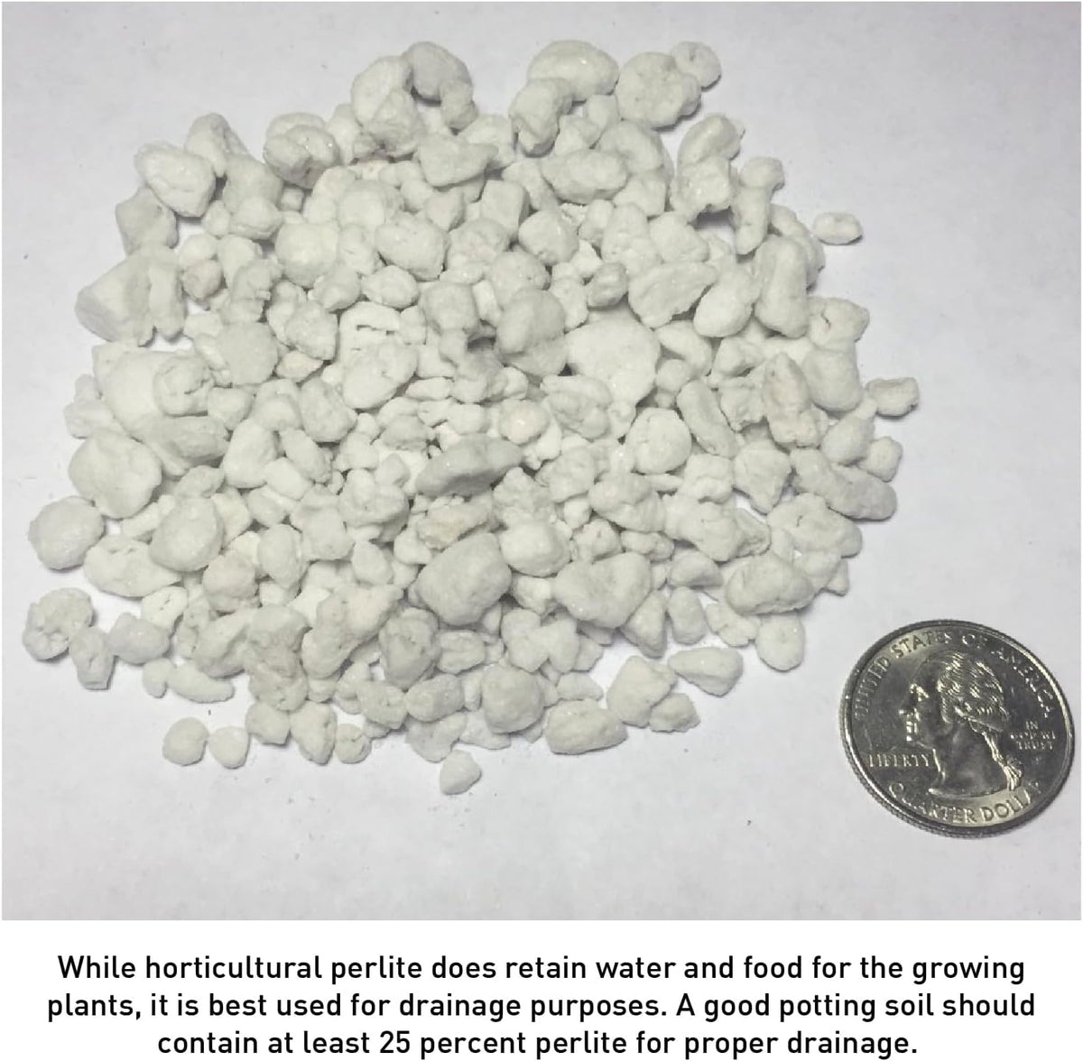 Perlite 4 Cubic Feet 1 Bag O623315