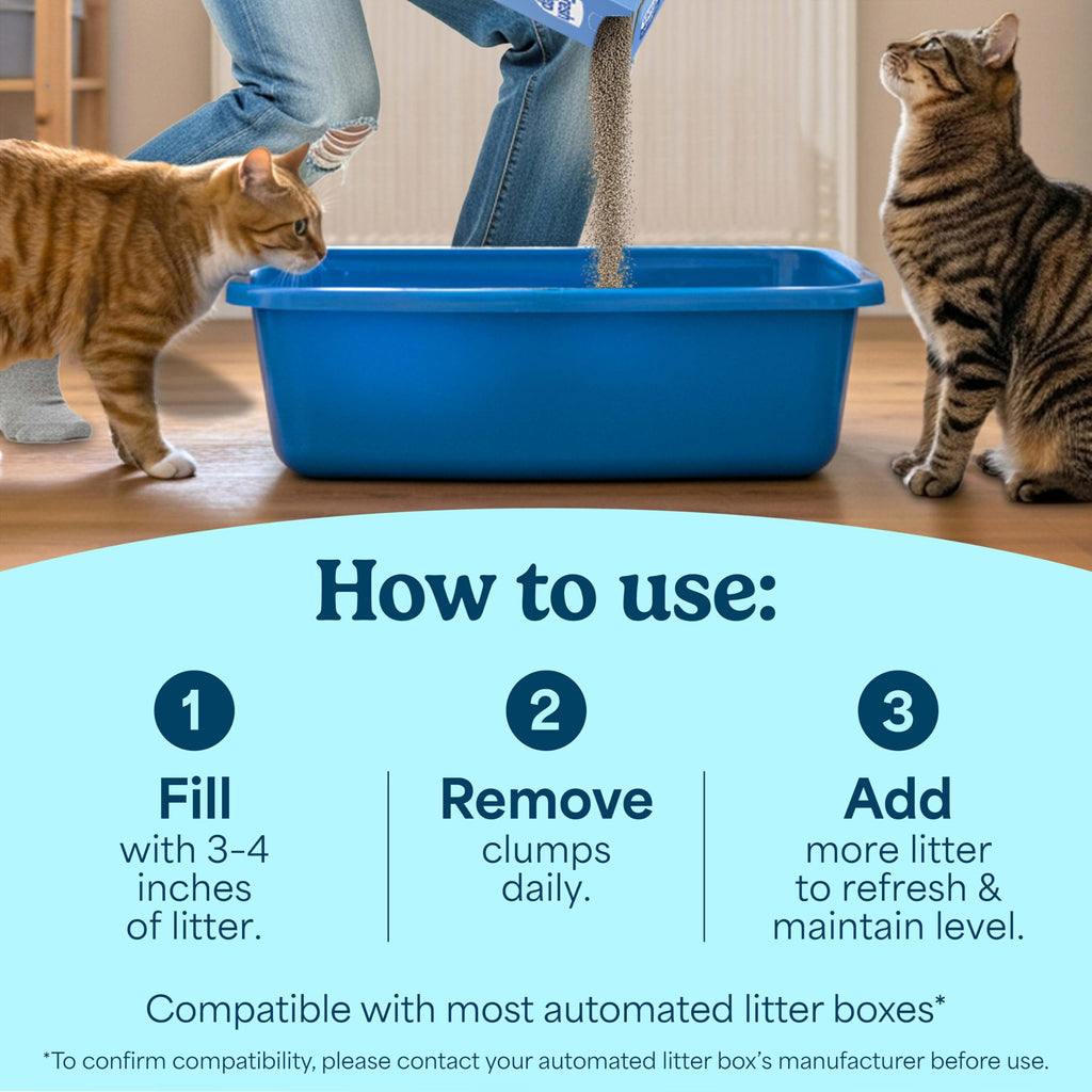 Unscented Clumping Cat Litter with Activated Charcoal, 14 lb C61245