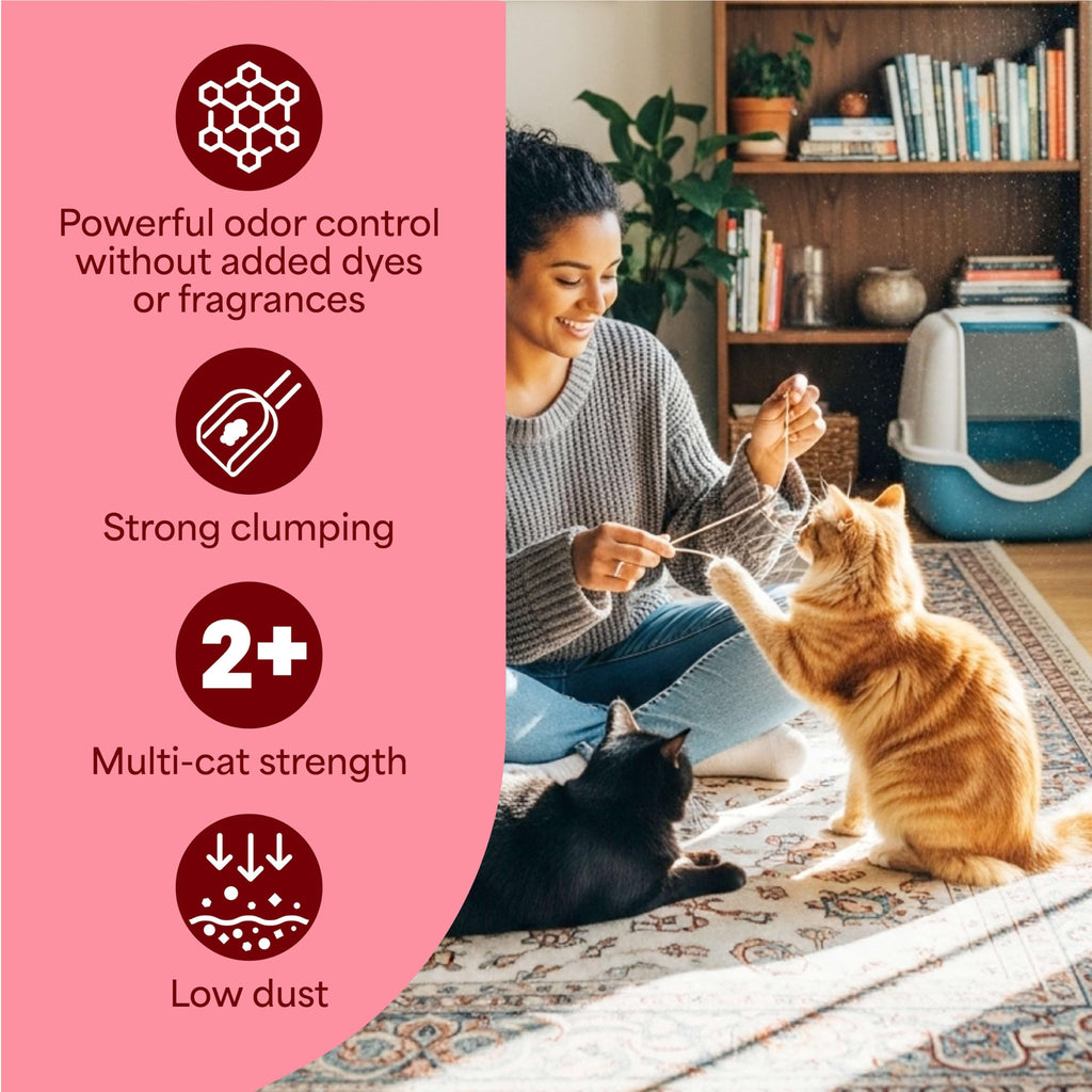 Unscented Clumping Cat Litter with Activated Charcoal, 14 lb C61245