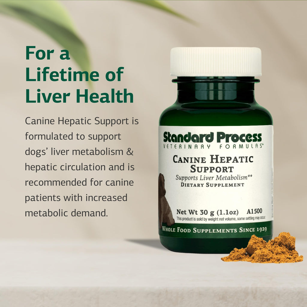 Canine Hepatic Support 30 g L306250