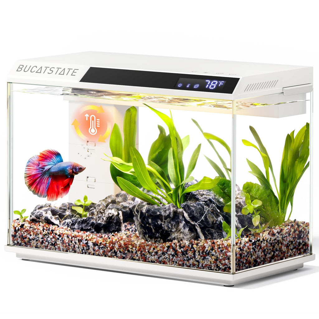 2.6 Gallon Small Fish Tank V495454