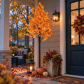 8FT Lighted Maple Tree D931
