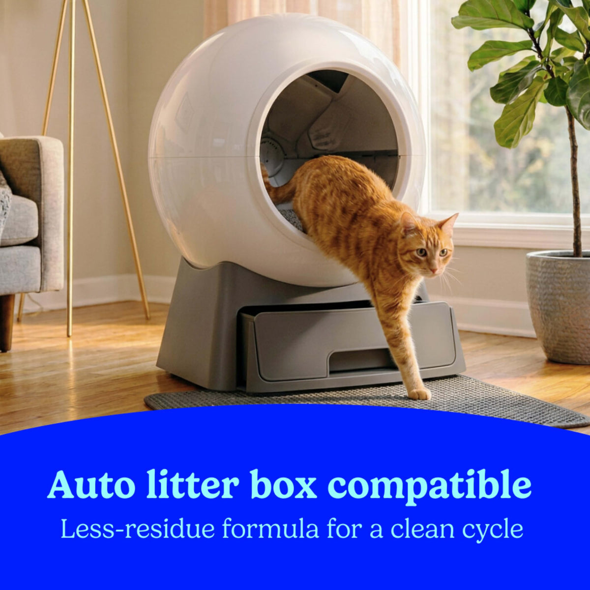 Unscented Clumping Cat Litter with Activated Charcoal, 14 lb C61245