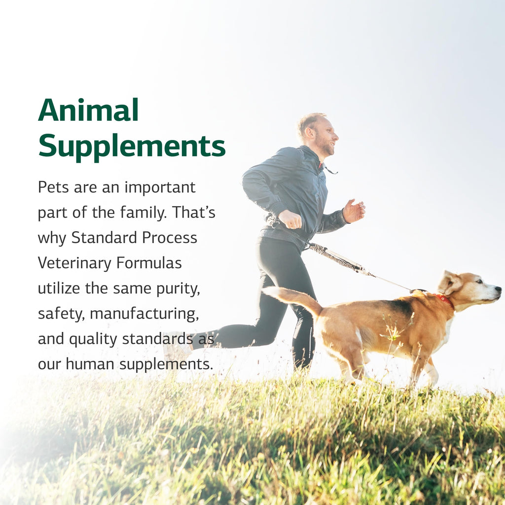 Canine Hepatic Support 30 g L306250