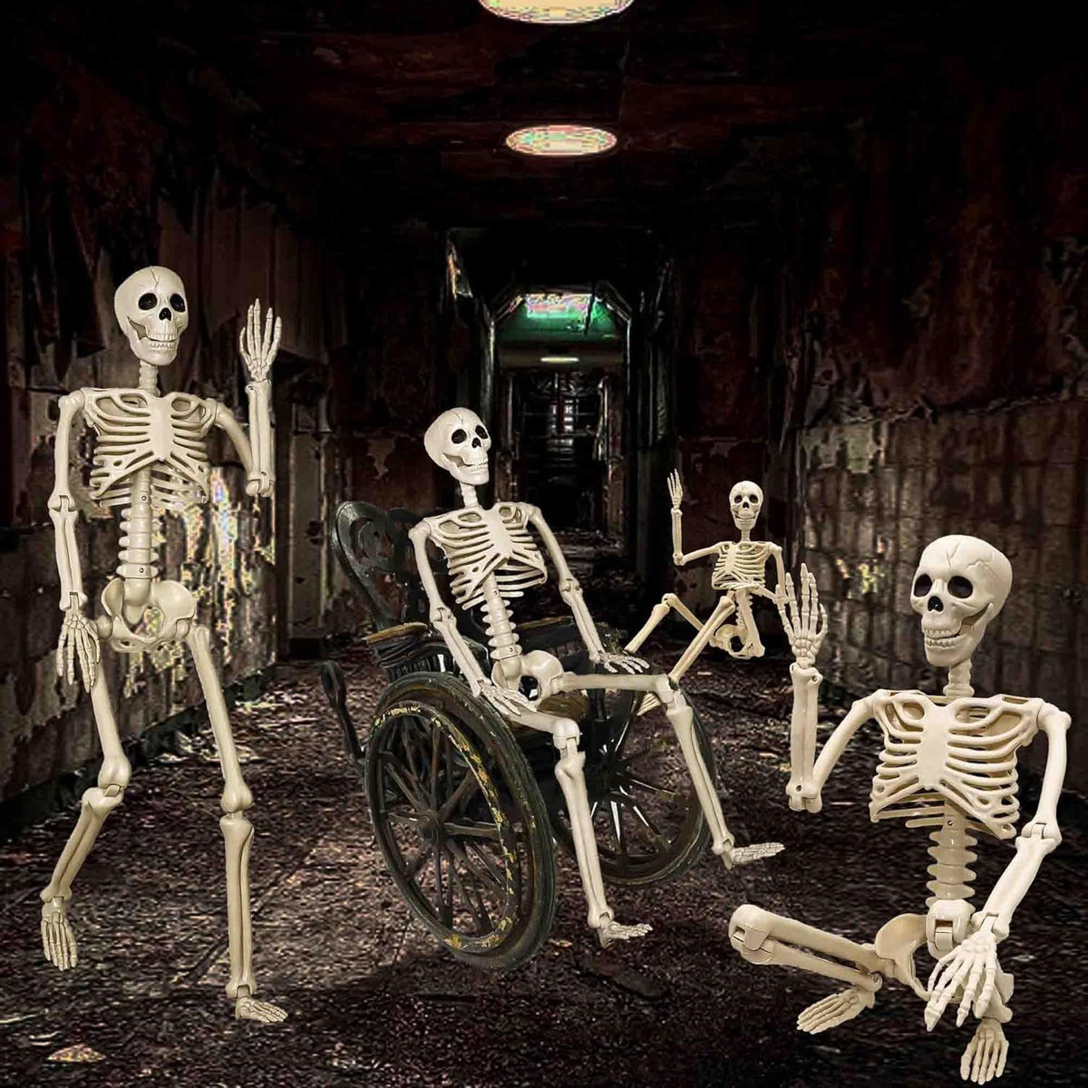 2-Pack 67" Posable Skeletons with Movable Joints Z694