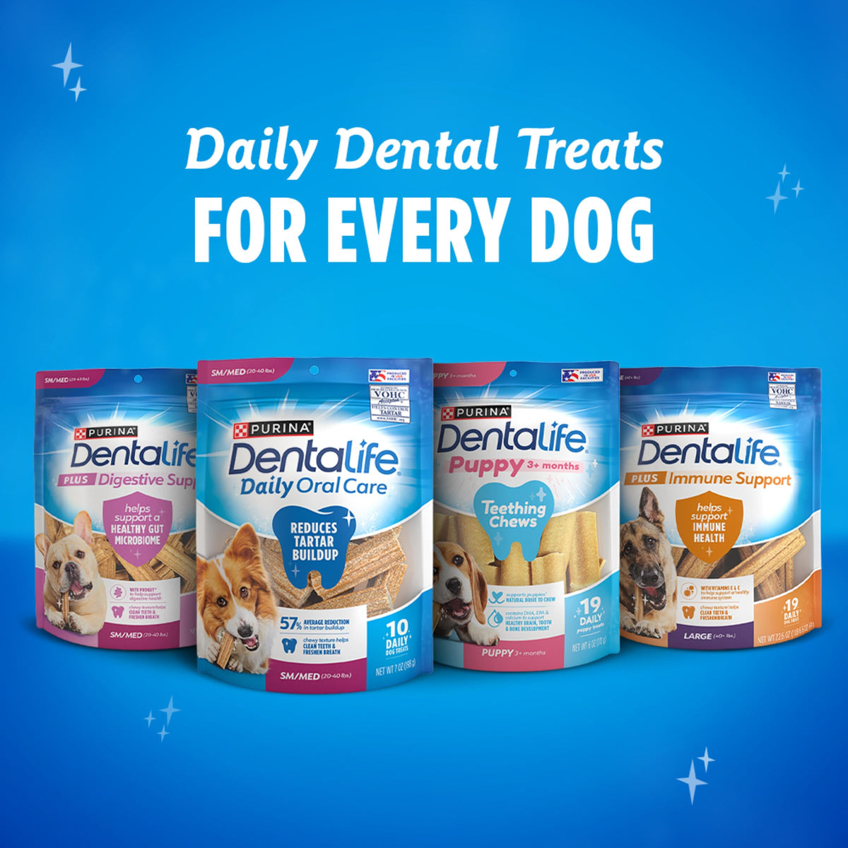 Large Dog Treats U71995
